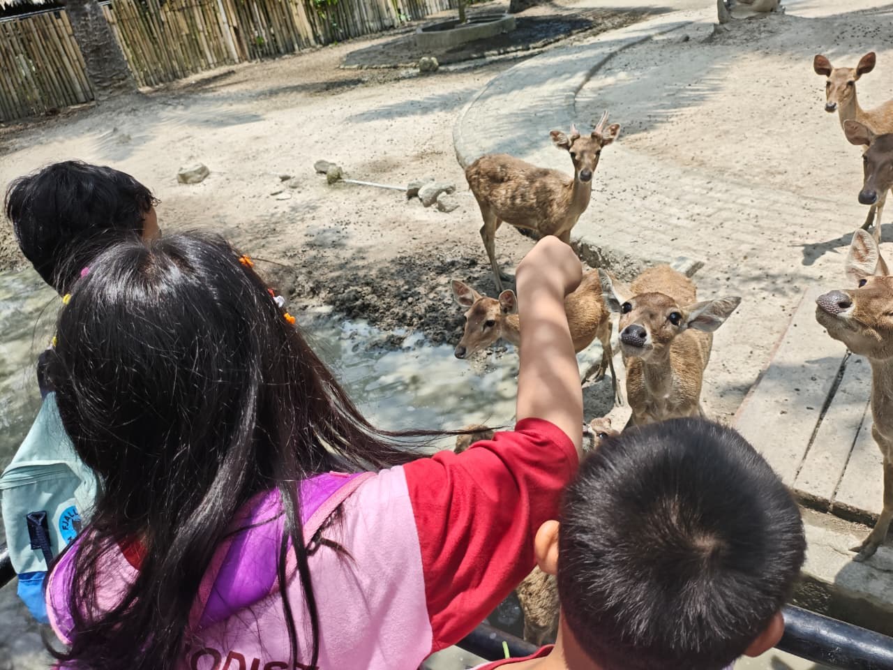 Dokumentasi Kunjungan Kebun Binatang 2